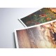 Canvas A4 mat inkjet printabil, din polyester, greutate 230g/mp - pachet 10 coli